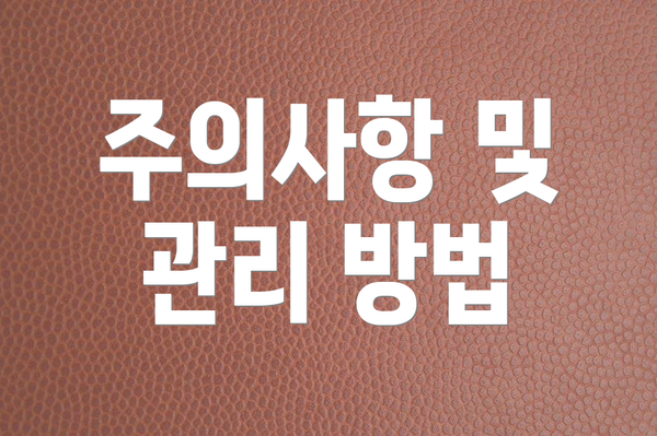 주의사항 및 관리 방법