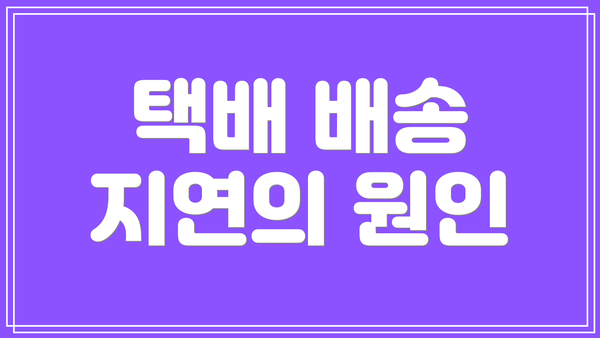 택배 배송 지연의 원인
