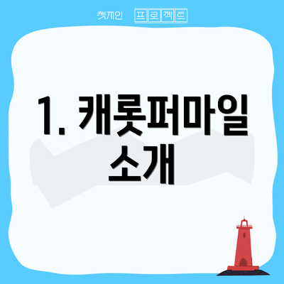 1. 캐롯퍼마일 소개