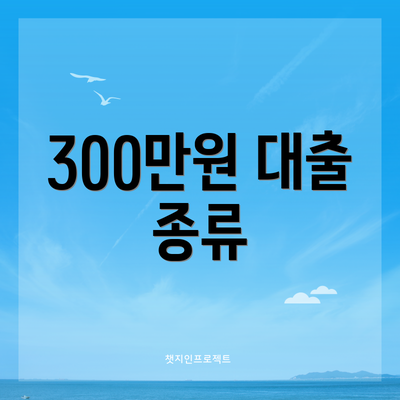 300만원 대출 종류