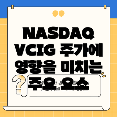 NASDAQ VCIG 주가에 영향을 미치는 주요 요소
